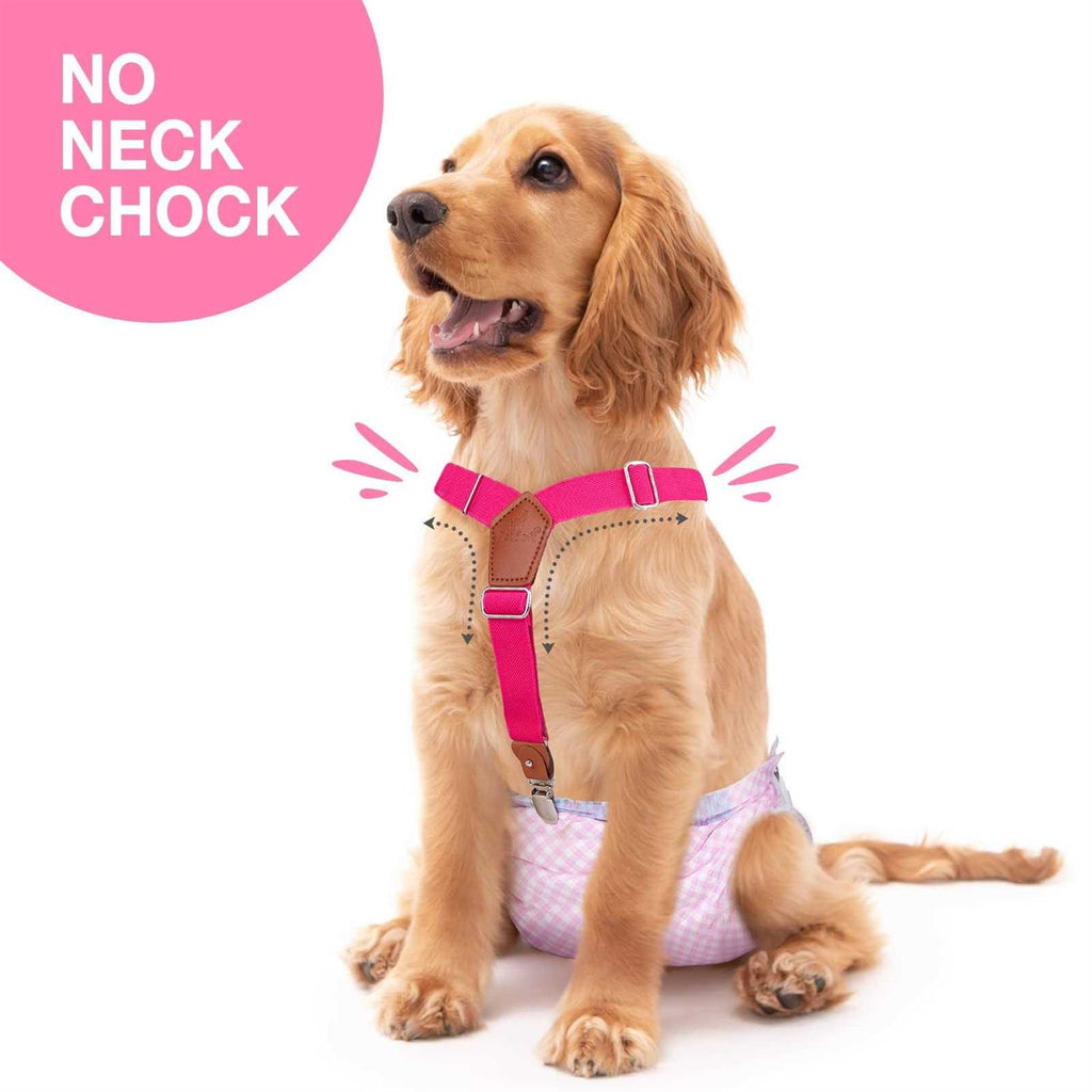 2 Pieces Dog Diaper Suspenders K8967