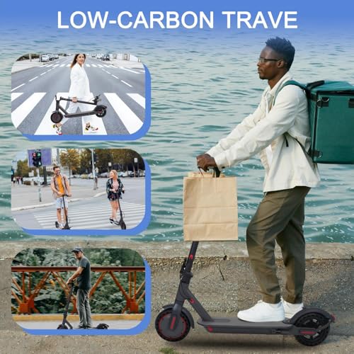 350W Electric Scooter with 8.5" Solid Tires L4092