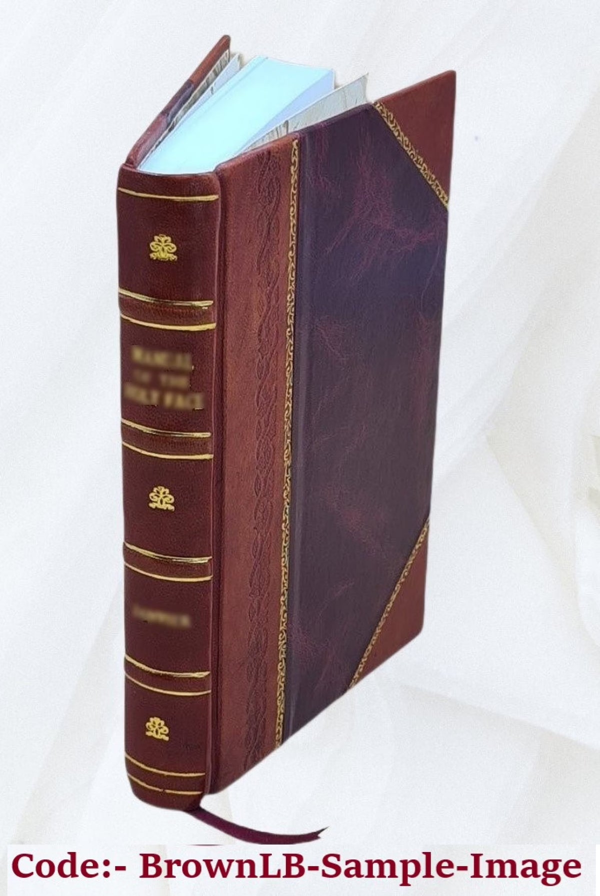 Westward ho! or, The voyages and adventures of Sir Amyas Leigh, knight, of Burrough, in the County of Devon, in the reign of Her Most Glorious Majesty, Queen Elizabeth. Volume v. 2 N447904
