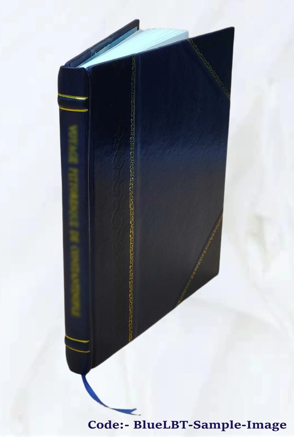Leather Bound Book E55163