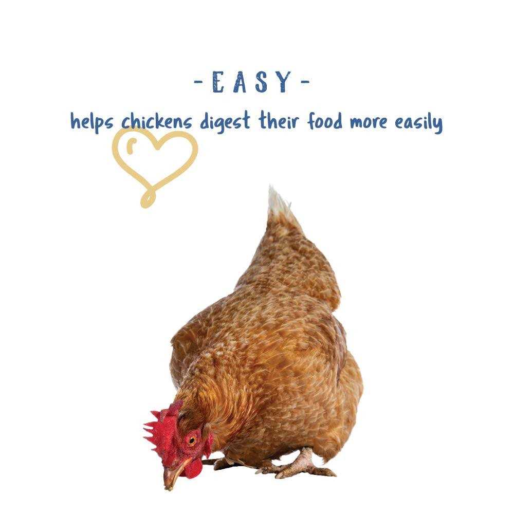 Poultry Grit with Probiotics M849