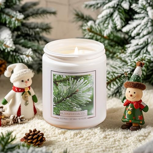 Balsam Fir Scented Candle Q63461