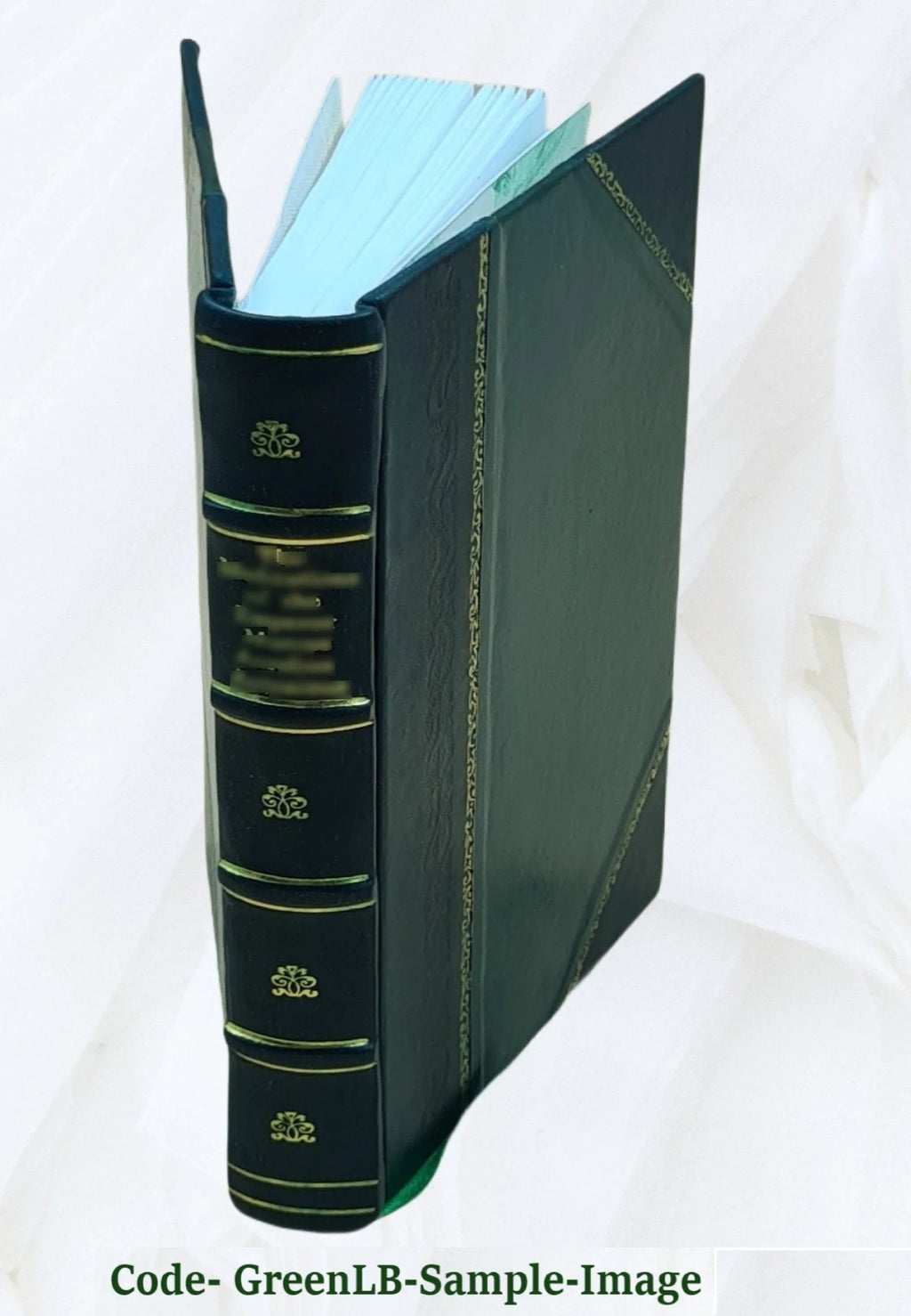 Leather Bound Book U449