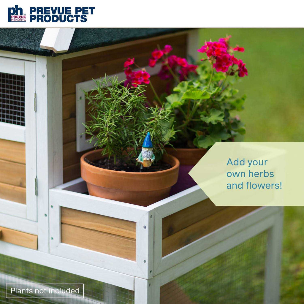 Chicken Coop with Herb Planter K531