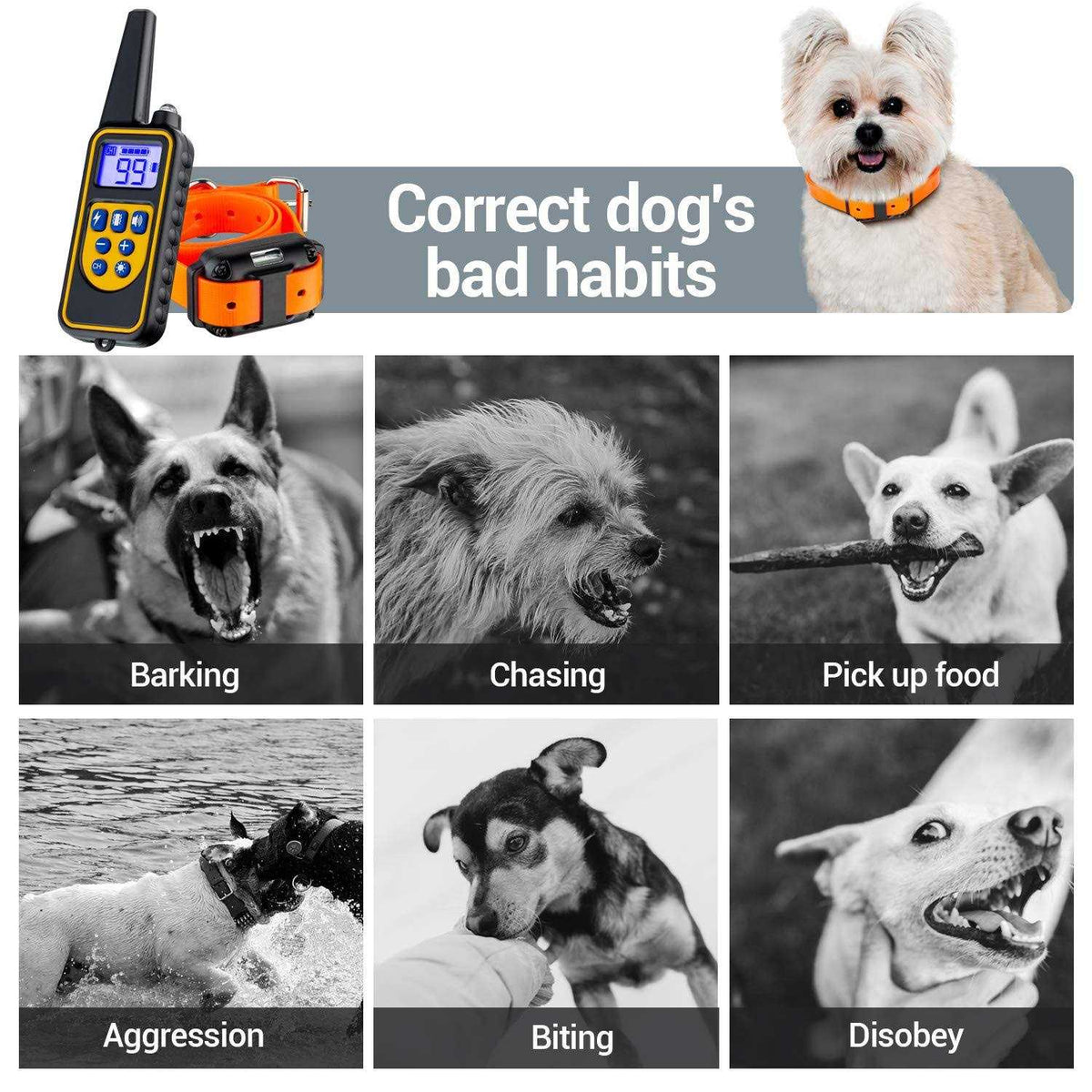 2600FT Dog Training Collar with Remote 3 Modes Beep Vibration Shock N369