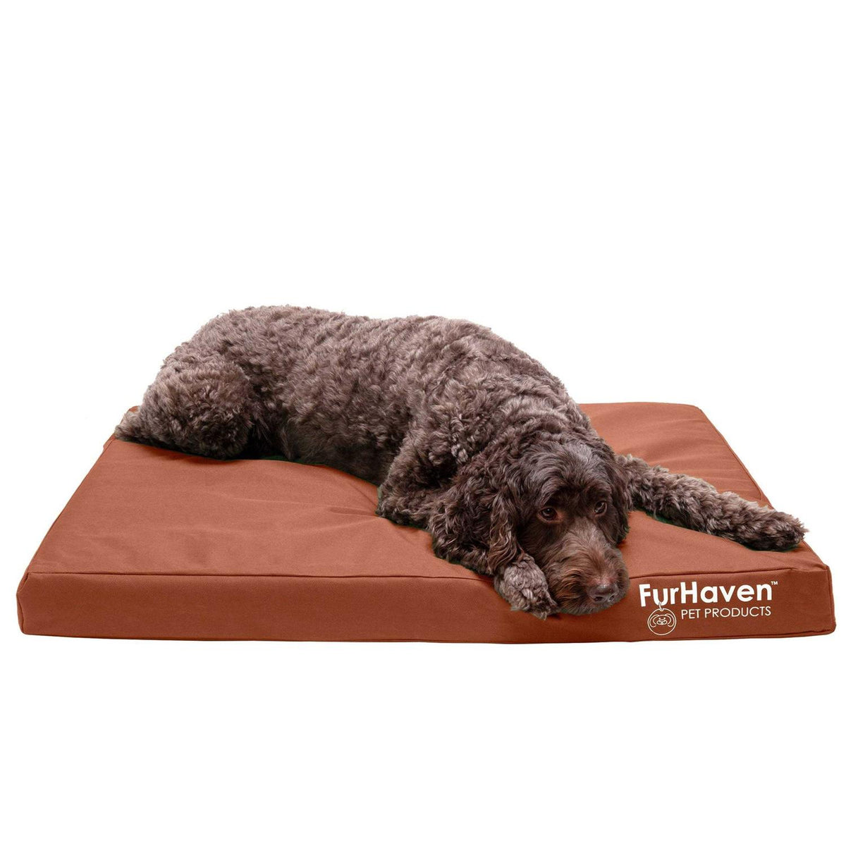 Dog Bed I269