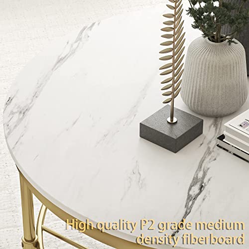 2-Tier Round Coffee Table with Storage Open Shelf E813428