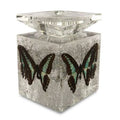 Candle Holder with 4 Blue Bottle Butterflies I9814