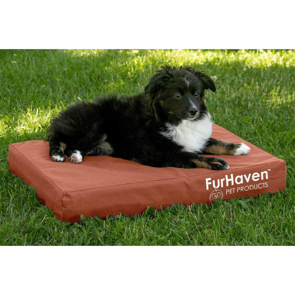 Dog Bed I269
