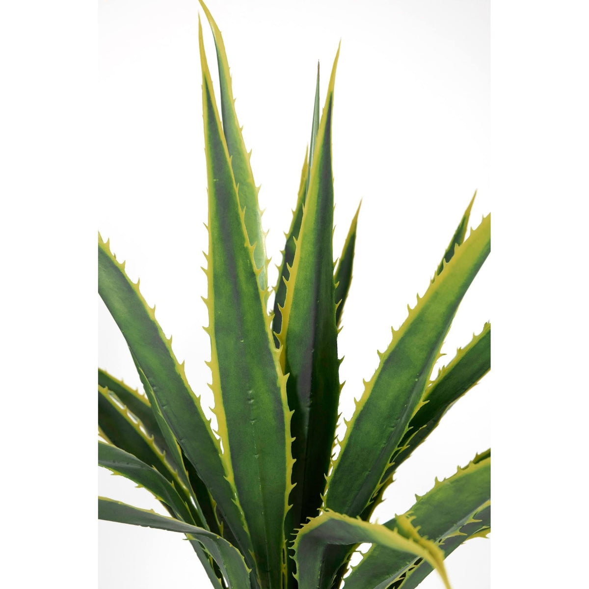Real Touch Agave Plant Y171822
