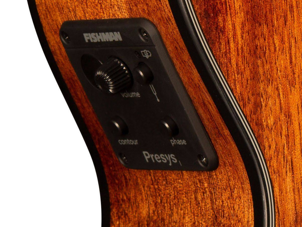 Acoustic/Electric Guitar P742784