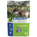 Chicory Deer Food Plot Seed 1 lb Bag 2Pack S550