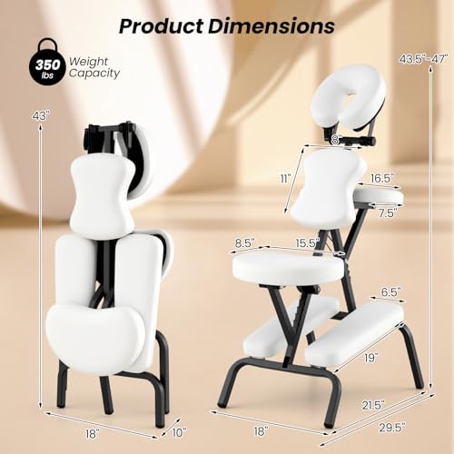 White Portable Massage Chair with Carrying Bag W454