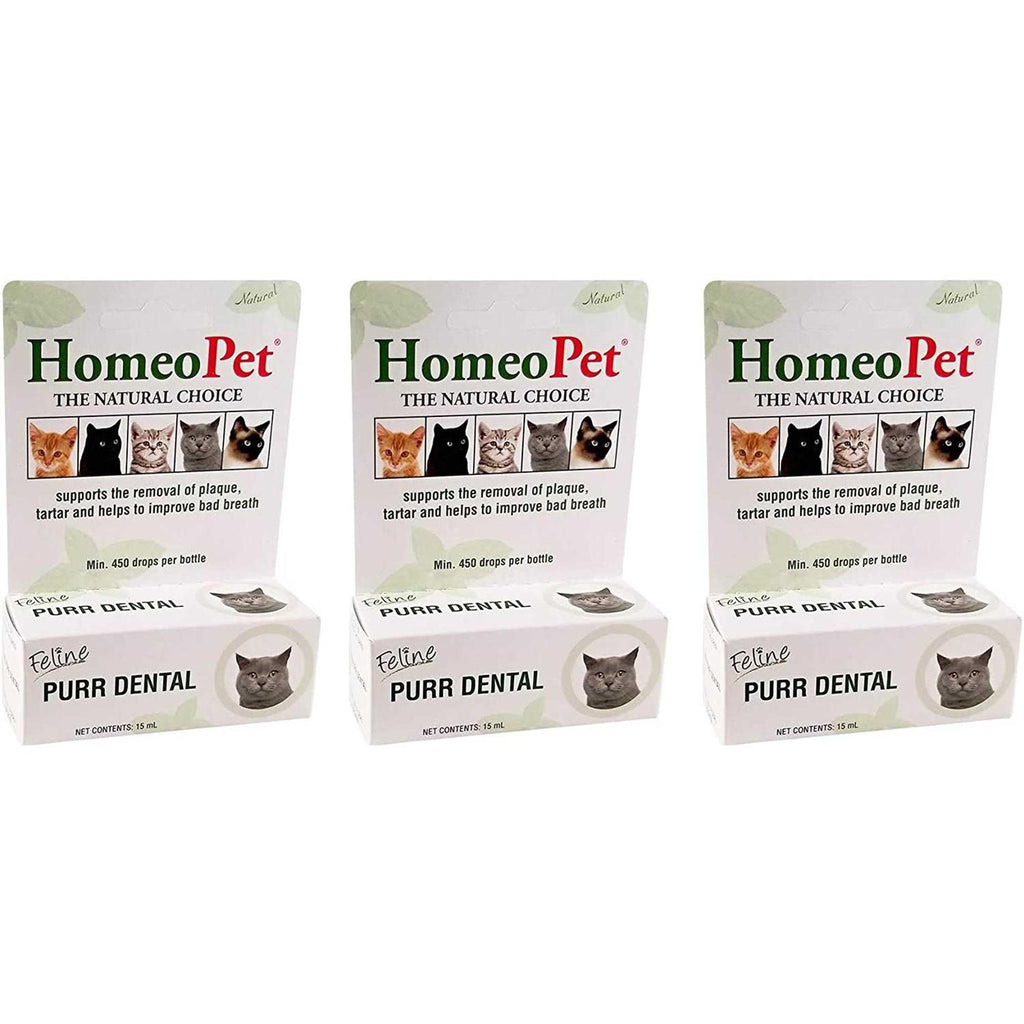 Feline Dental for Cats Y54671