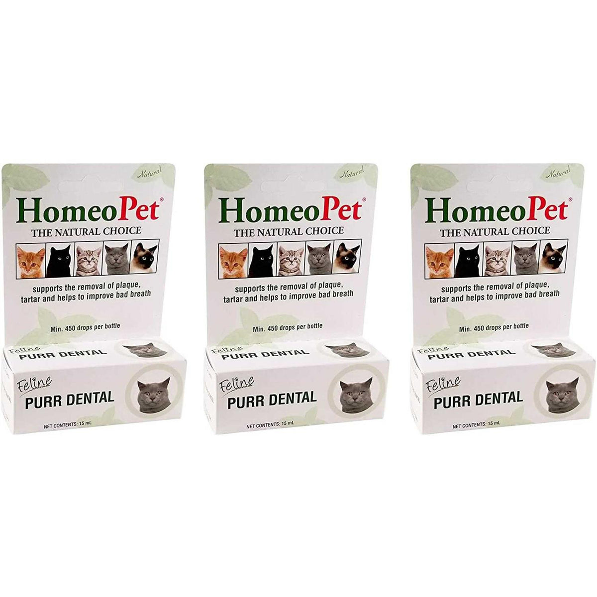 Feline Dental for Cats Y54671