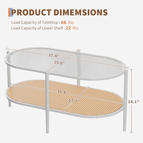 37" Rattan Oval Coffee Table, 2-Tier Storage Shelf Metal Frame B128