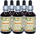 Wildcrafted Dried Leaf Liquid Extract 5x2 oz J16849