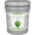 5 Gal Exterior Paint B393