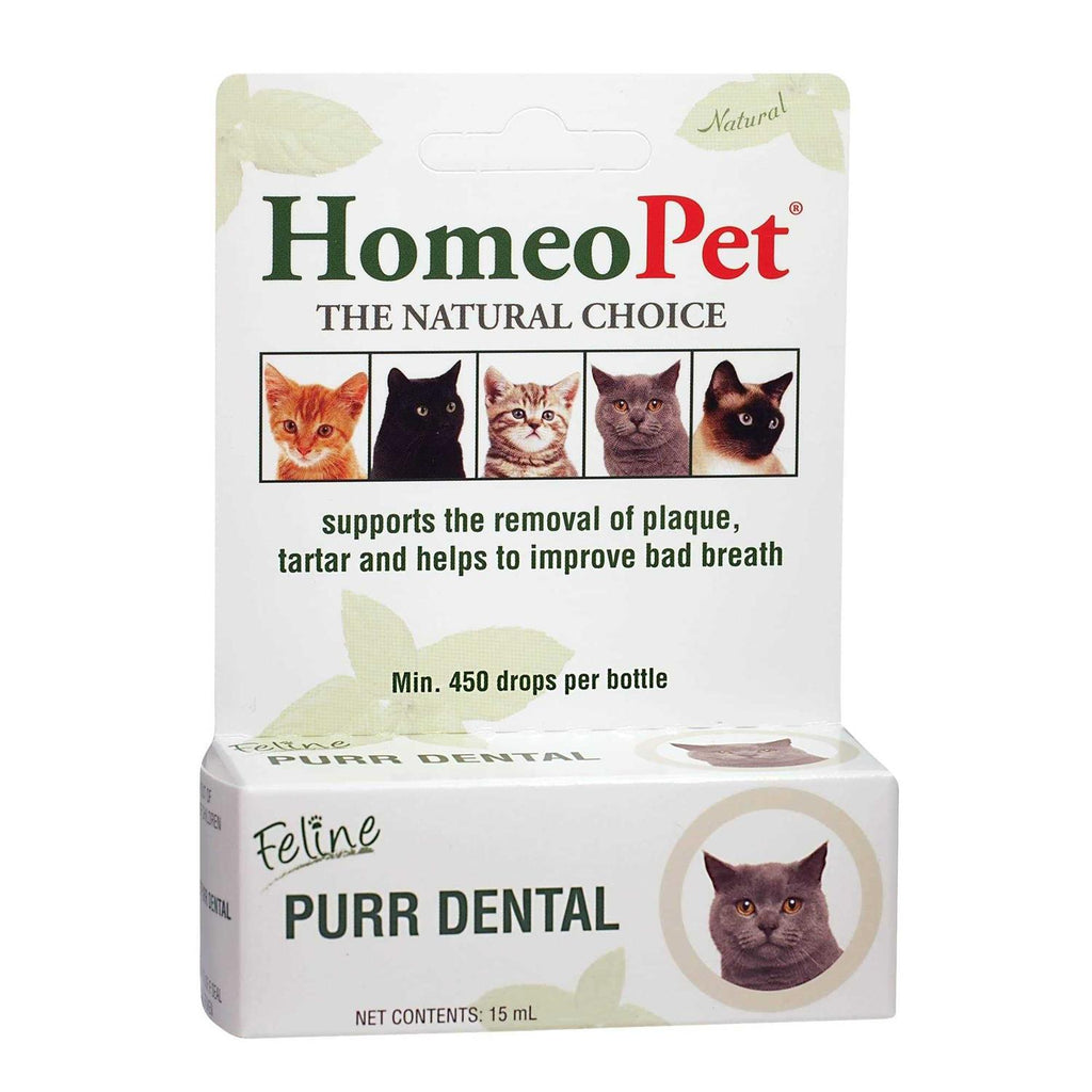 Feline Dental for Cats Y54671