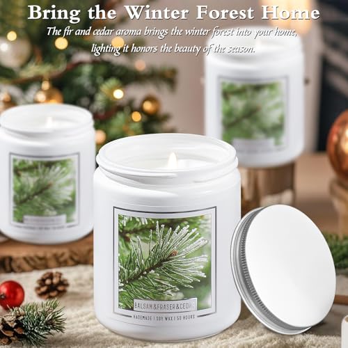 Balsam Fir Scented Candle Q63461