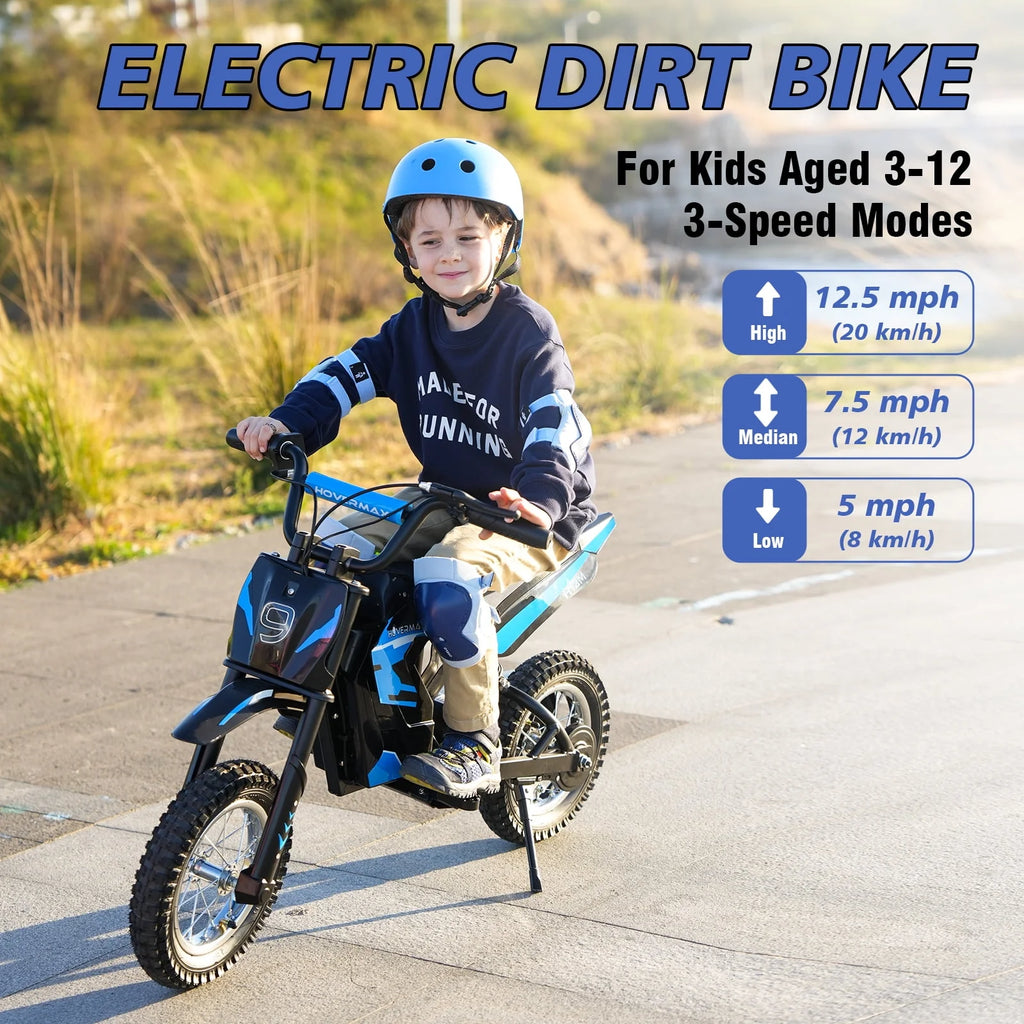 24V Electric Dirt Bike S2738