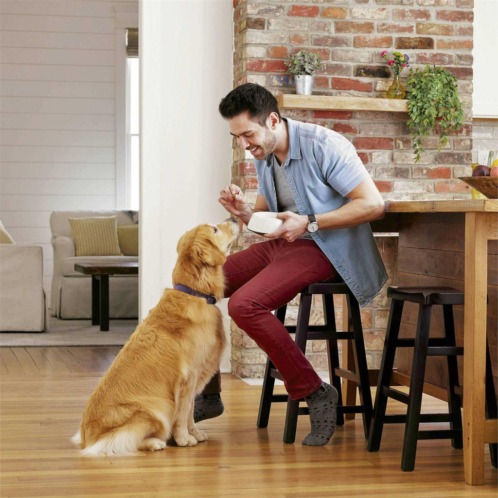 Advanced Health Adult Dry Dog Food with Real Chicken G1033