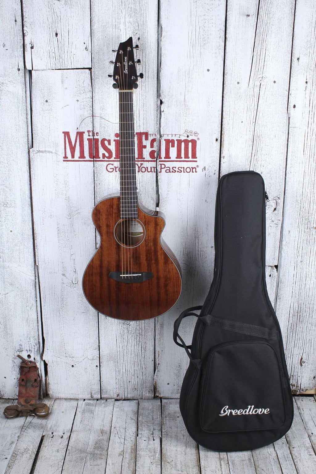 Acoustic/Electric Guitar P742784