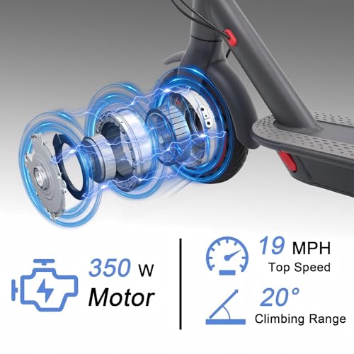 350W Electric Scooter with 8.5" Solid Tires L4092
