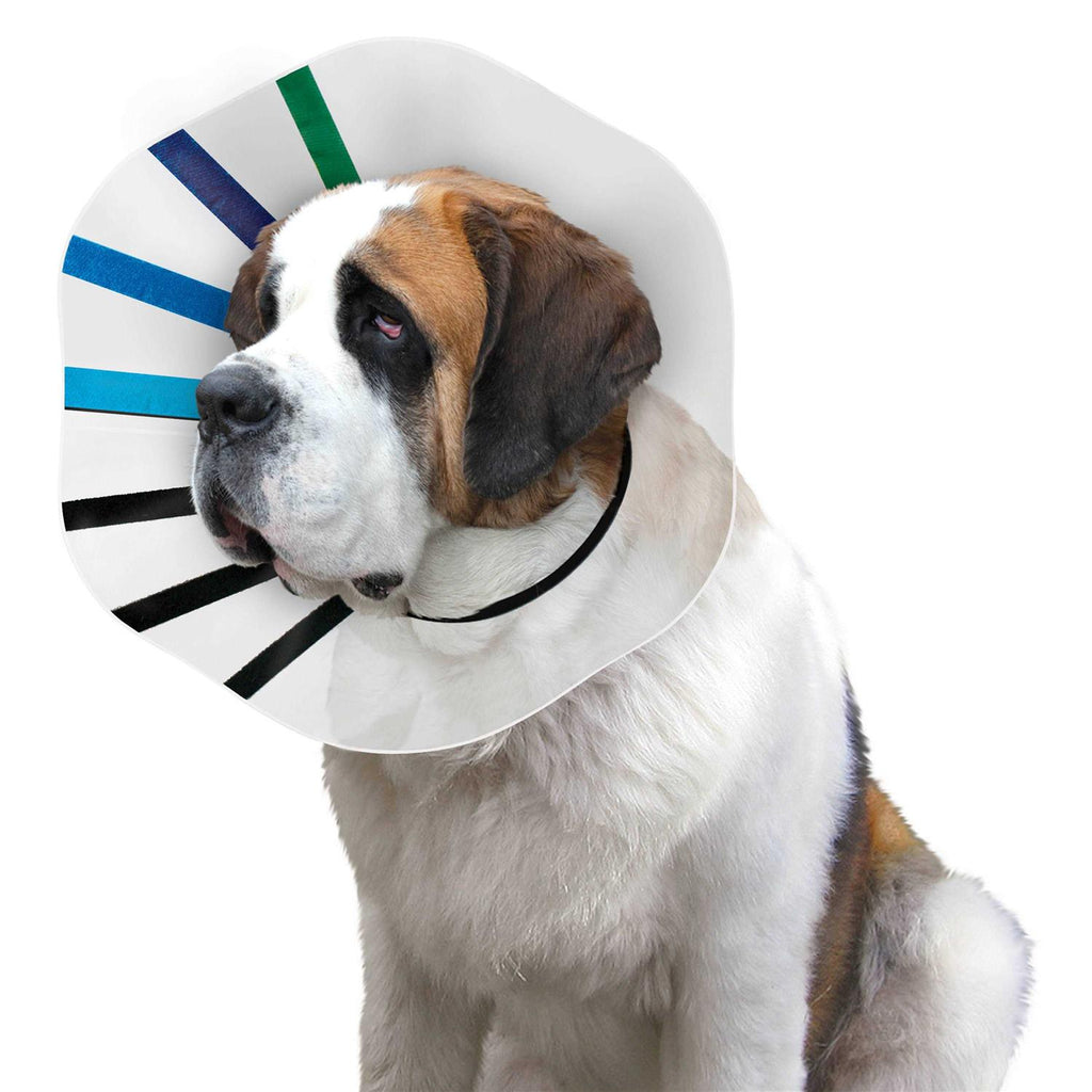 Clear Collar O7978