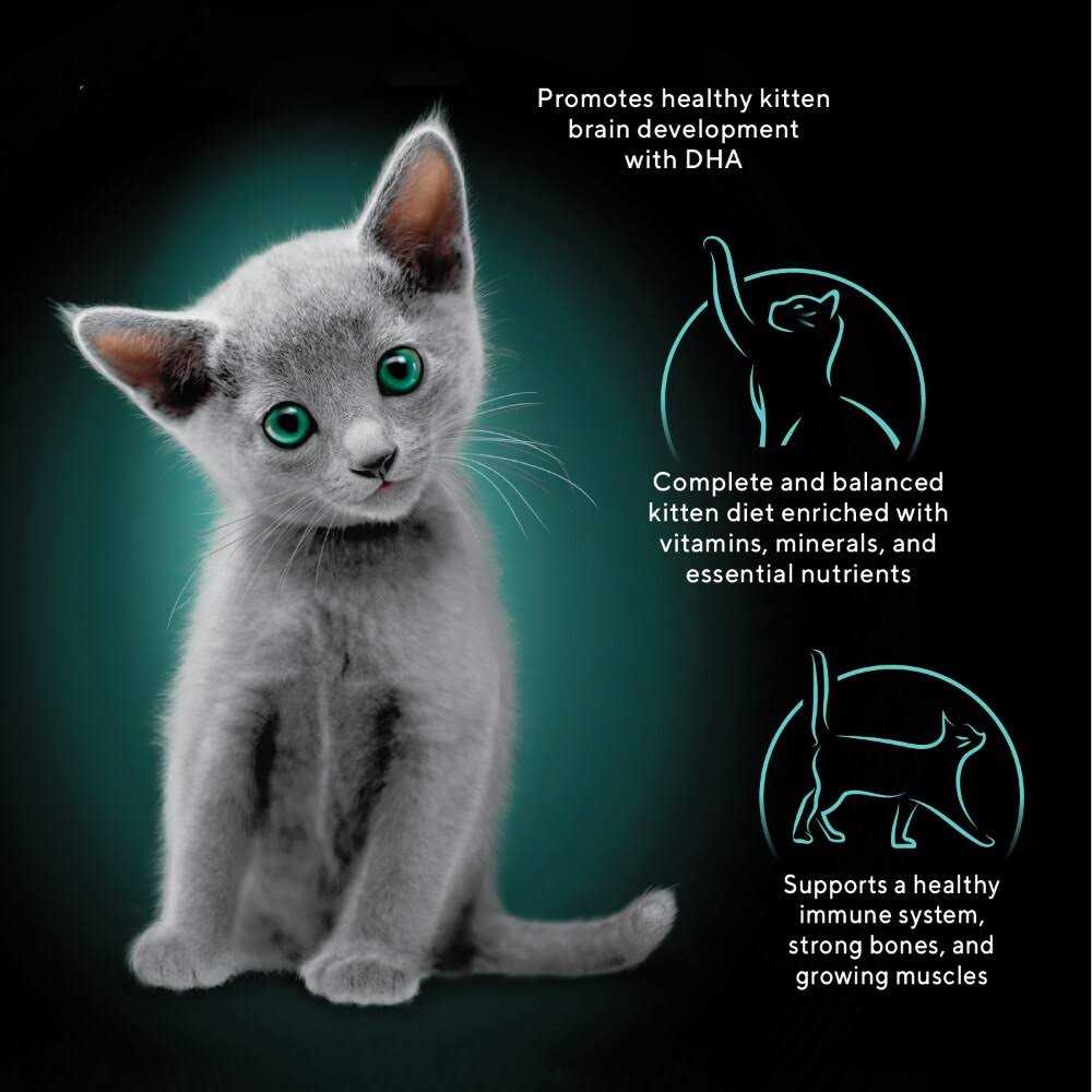 Kitten Soft Pate Wet Food Variety Pack C758392