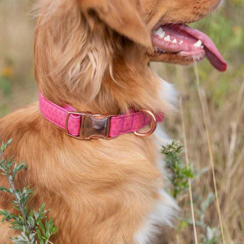 Adjustable Dog Collar Y955