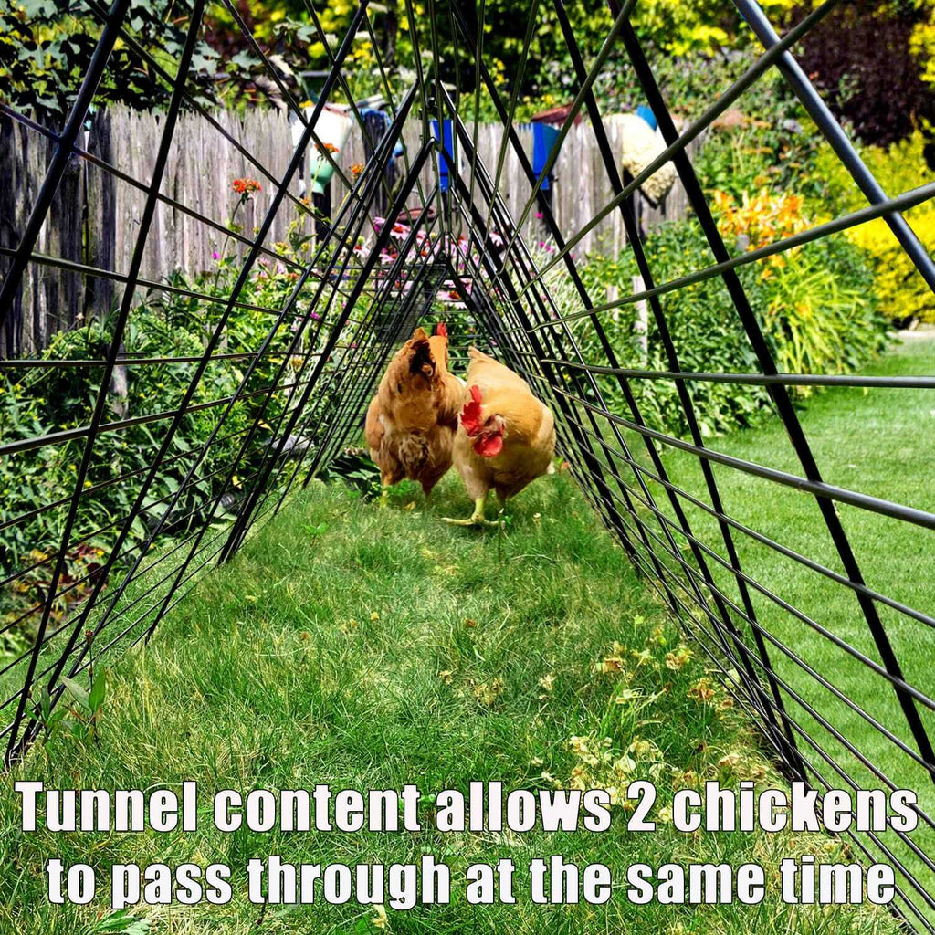 Chicken Tunnels for Yard L38775
