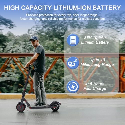 350W Electric Scooter with 8.5" Solid Tires L4092