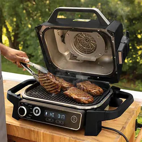 Grey 7-in-1 Outdoor Electric Grill & Smoker I978