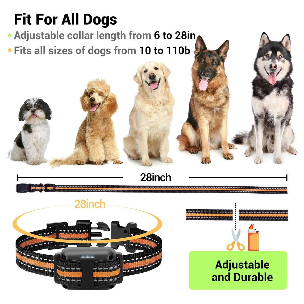 2600FT Dog Training Collar with Remote 3 Modes Beep Vibration Shock N369