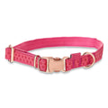 Adjustable Dog Collar Y955