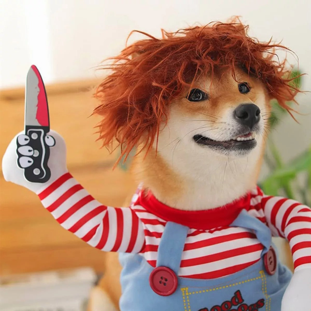 Dog Scary Transformation Costume with Wig D772