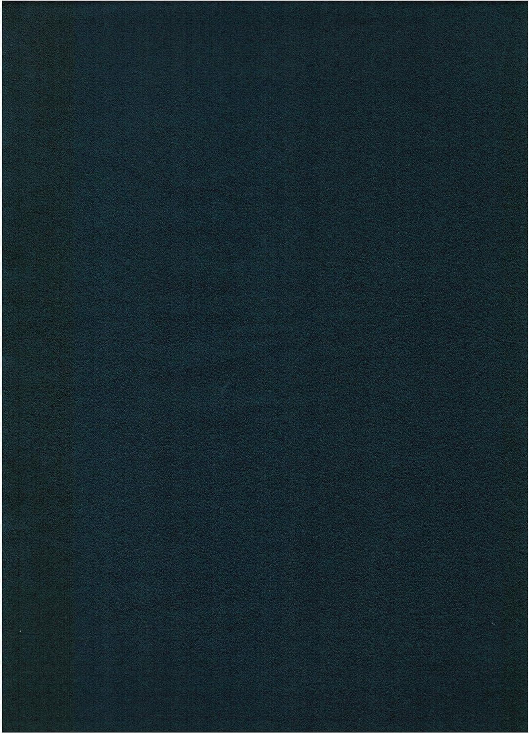 Blue Suede Fabric Futon Mattress J187
