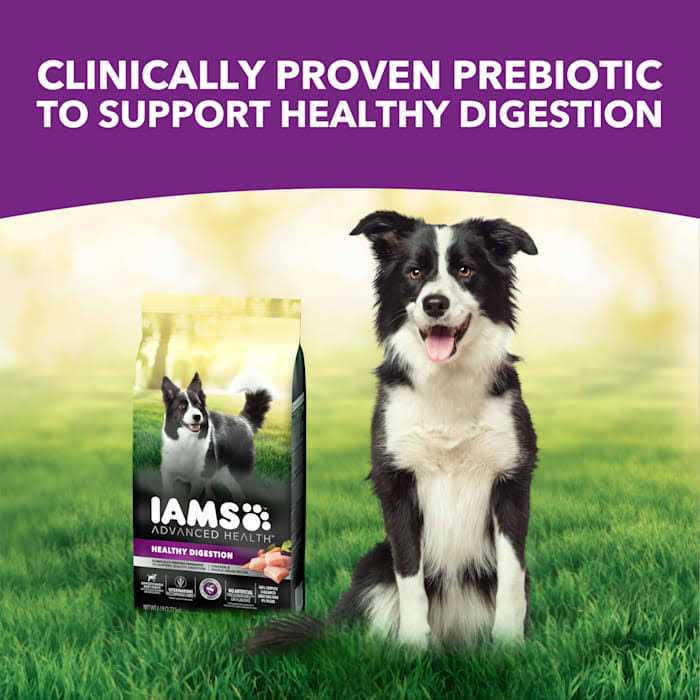 Advanced Health Adult Dry Dog Food with Real Chicken G1033