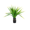 Real Touch Agave Plant Y171822