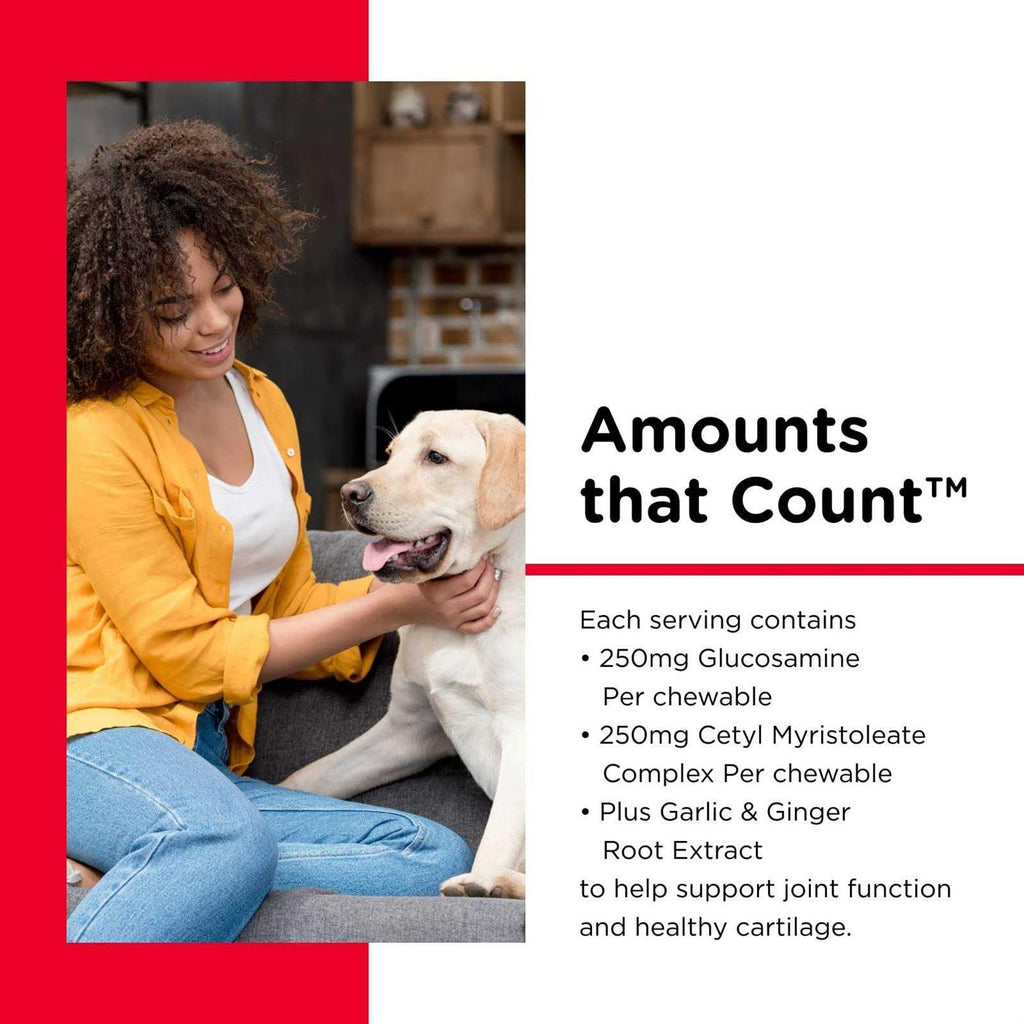 Joint Action Formula for Dogs A328