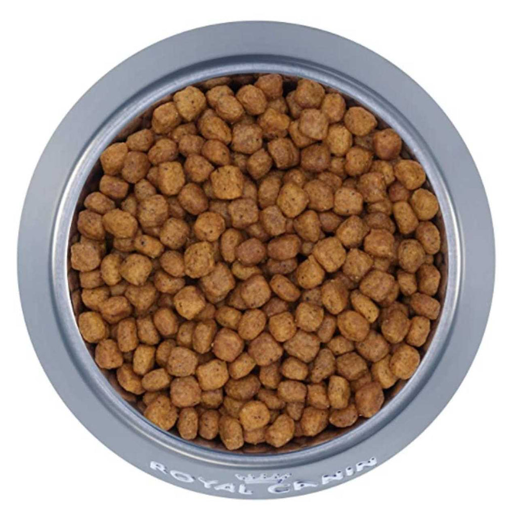Indoor Mature Cat Dry Food O904347