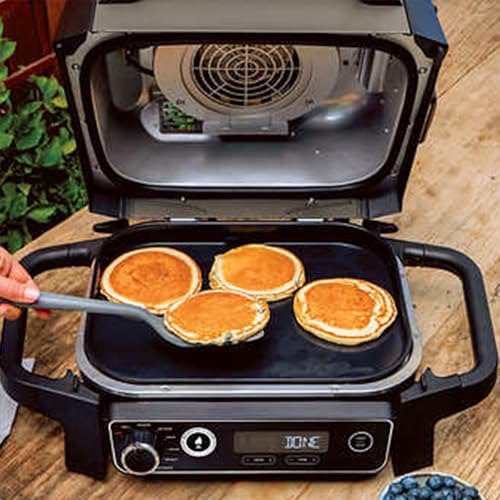 Grey 7-in-1 Outdoor Electric Grill & Smoker I978