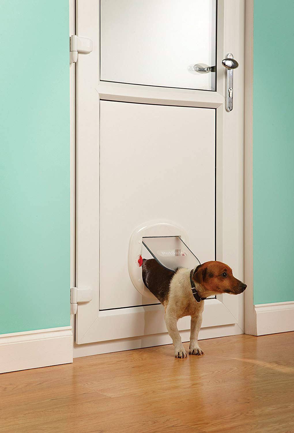 White Pet Door M97995