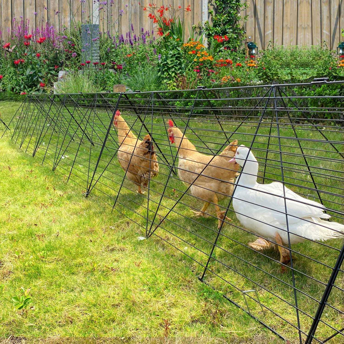 Chicken Tunnels for Yard L38775