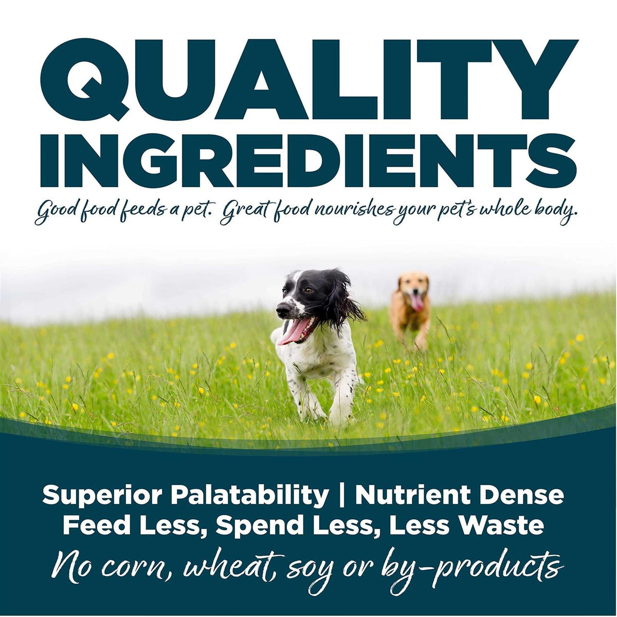 Small Bites Adult Chicken & Rice Dry Dog Food A73870