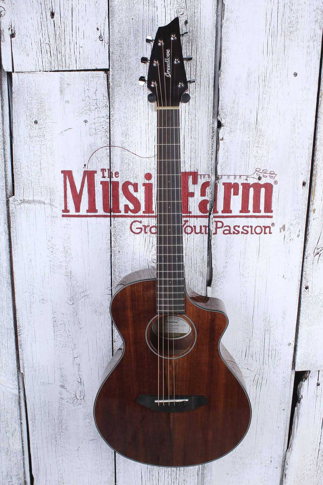 Acoustic/Electric Guitar P742784