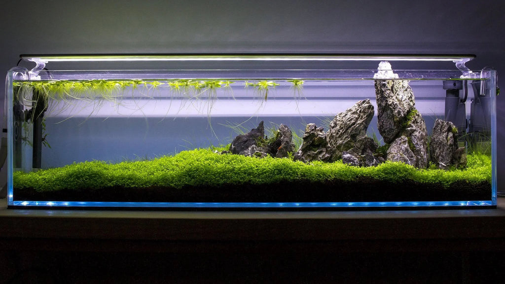 High Clarity Glass Bookshelf Style Aquarium E646