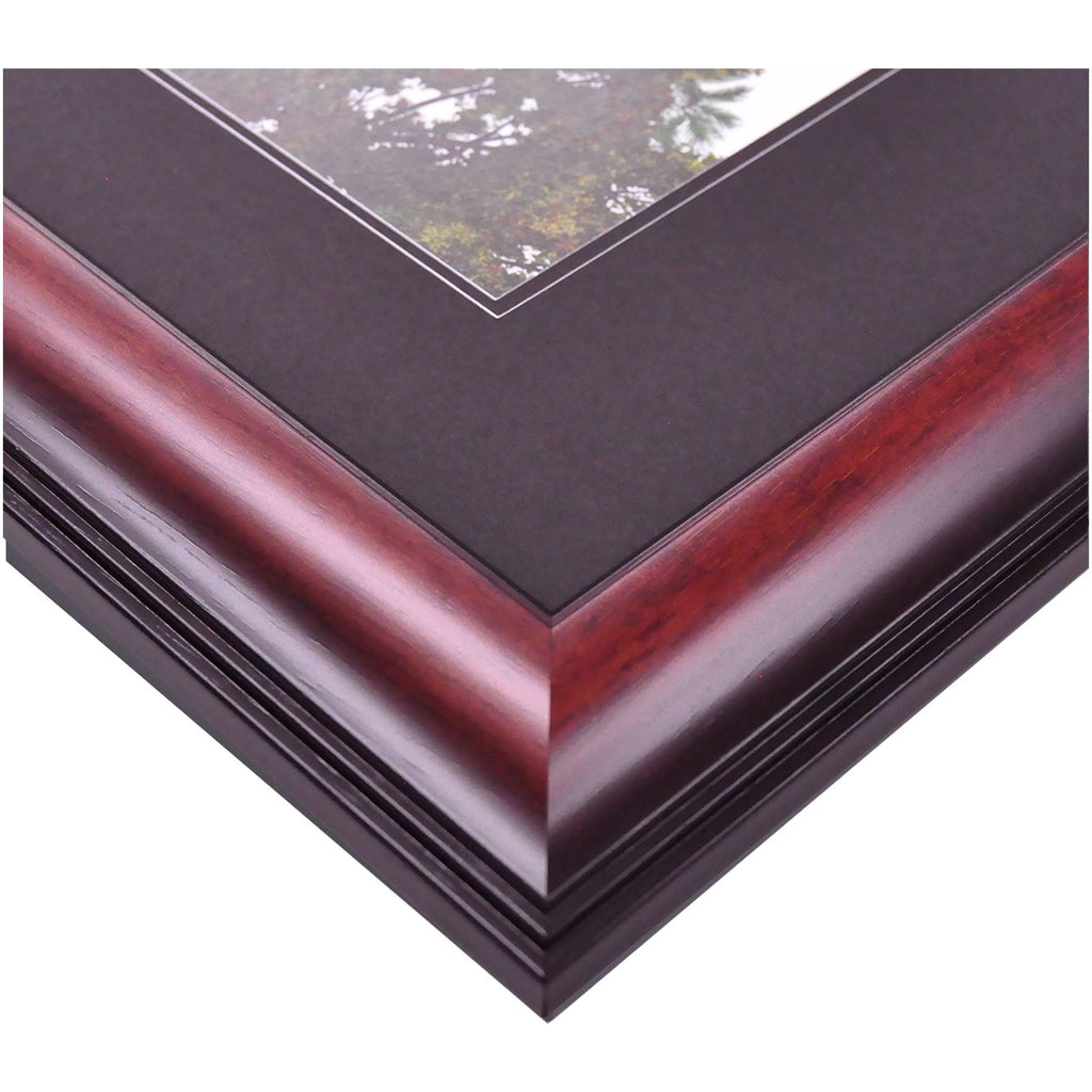 Central Michigan University Diploma Frame Q4045