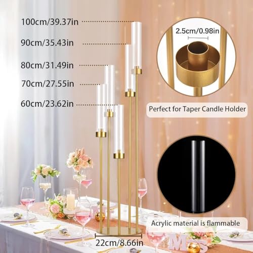 Matte Black 5 Arm Candelabra with Acrylic Shades R237
